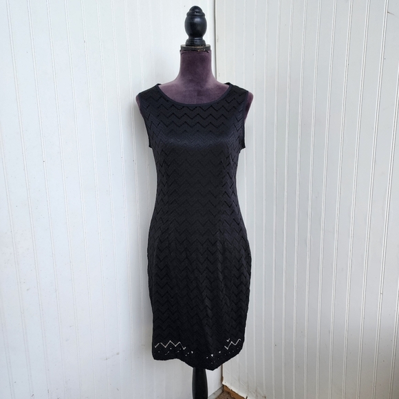 Banana Republic Dresses & Skirts - Banana Republic Womens Black Lace Sleeveless Dress Nylon Lined Sz 6